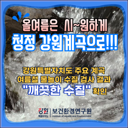 여름철물놀이
